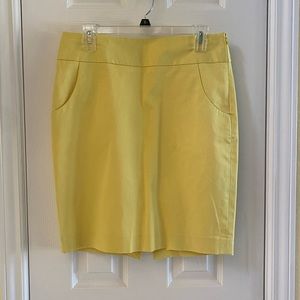 NWT Skirt from The Limited